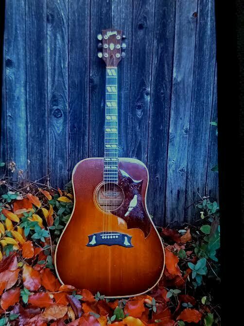 1970 Gibson Dove